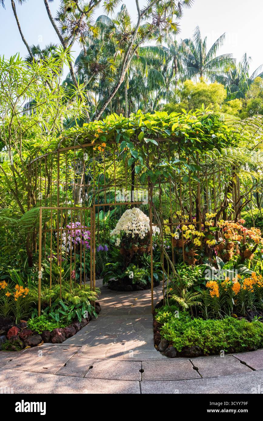 Singapur - 20. Oktober 2018: Orchideenausstellung im Botanischen Garten von Singapur, einem UNESCO-Weltkulturerbe. Stockfoto