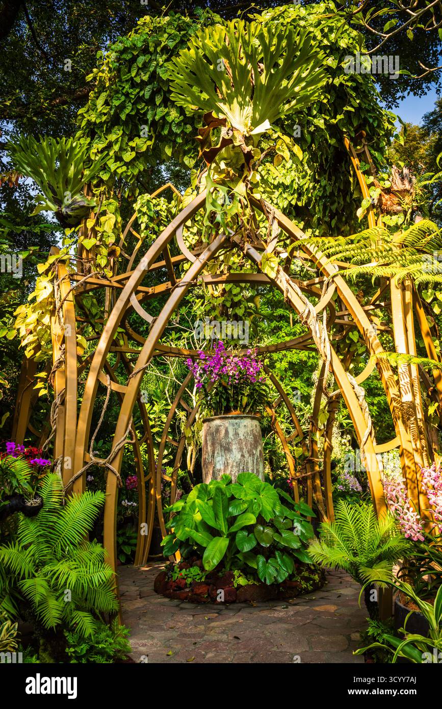 Singapur - 20. Oktober 2018: Orchideenausstellung im Botanischen Garten von Singapur, einem UNESCO-Weltkulturerbe. Stockfoto
