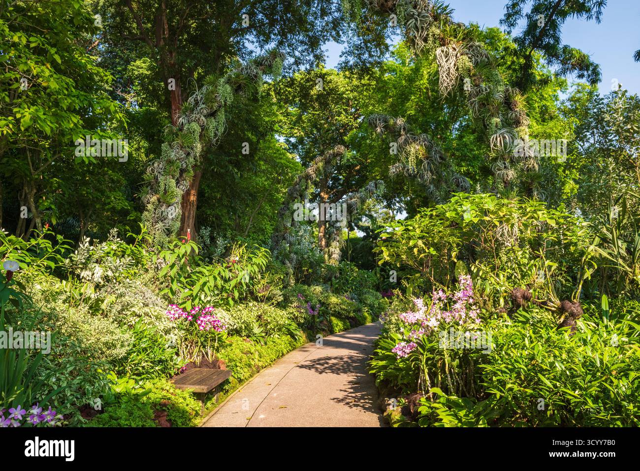 Singapur - 20. Oktober 2018: Orchideenpfad im Botanischen Garten von Singapur, ein UNESCO-Weltkulturerbe. Stockfoto