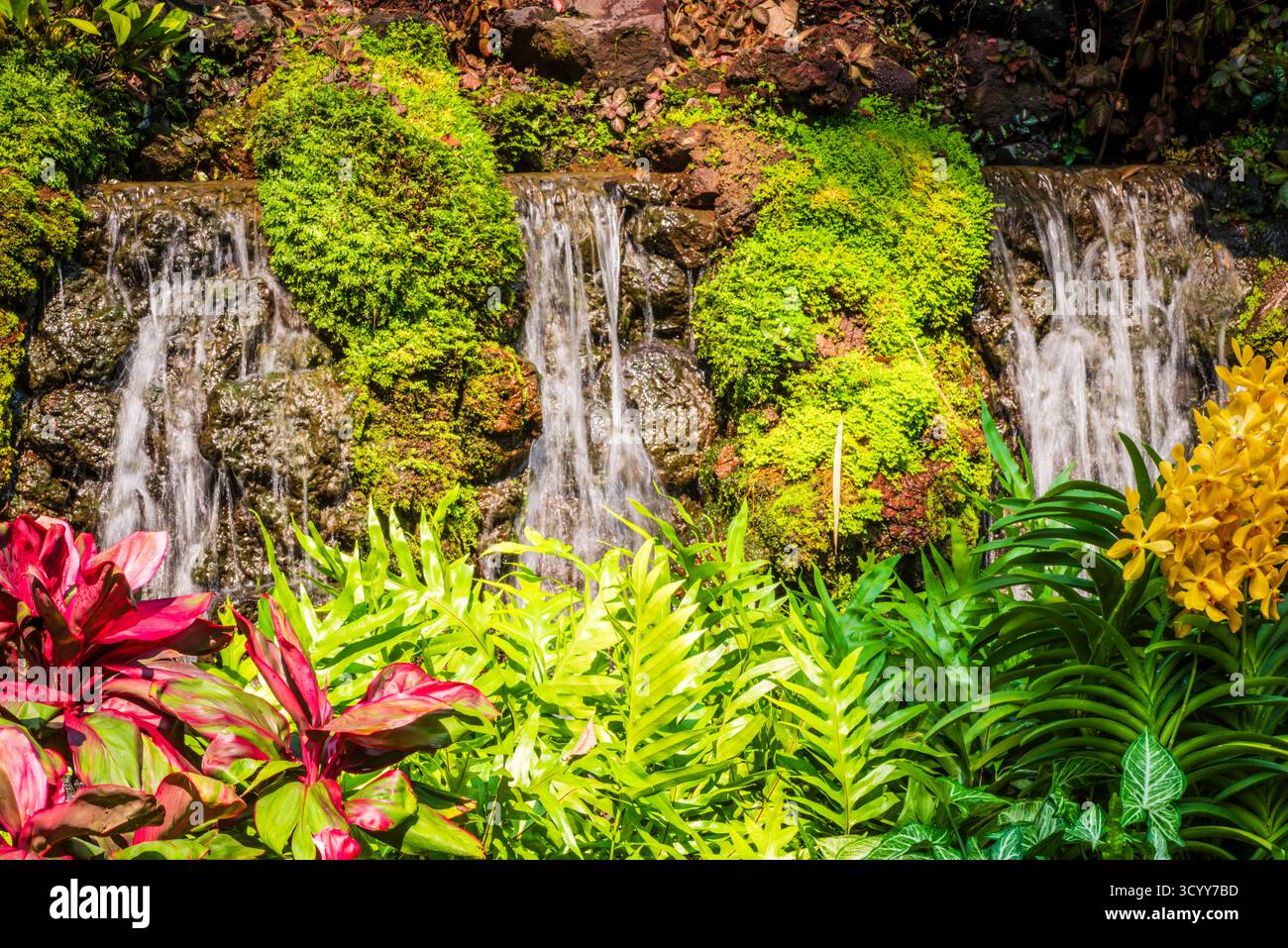 Singapur - 20. Oktober 2018: Wasserfall im Botanischen Garten von Singapur, ein UNESCO-Weltkulturerbe. Stockfoto
