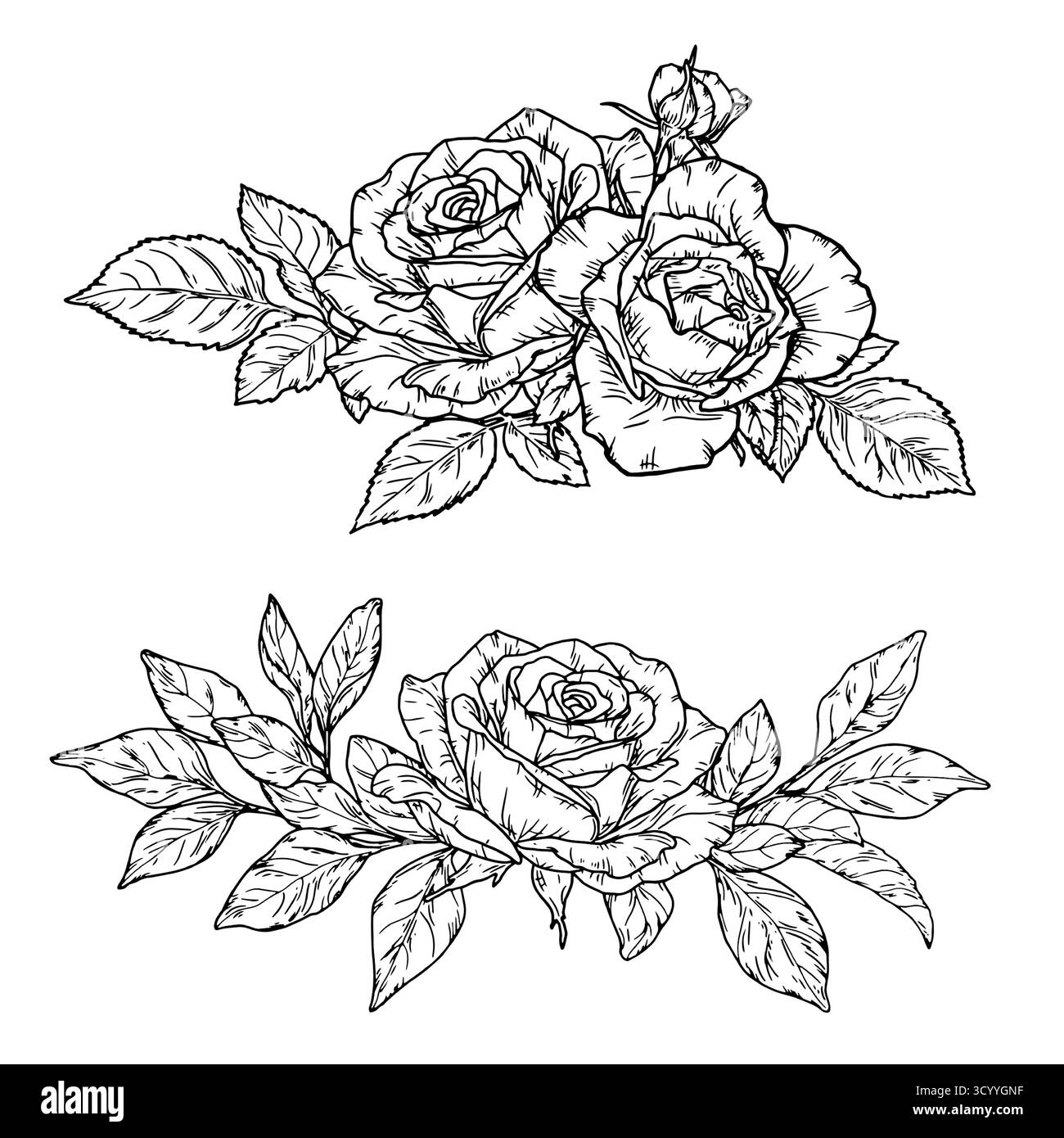 Rosenstrauß mit Knospen und Blütenblättern, schwarz-weiße Skizze. Vektorabbildung. Eine Reihe von Silhouetten auf weißem Hintergrund. Sträuße von e Stock Vektor