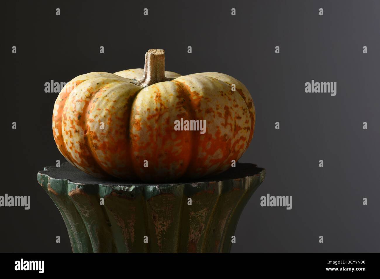 Ein einzelner dekorativer, vaegierter Mini-Kürbis auf einem Holzsockel vor einem hell- bis dunkelgrauen Hintergrund. Stockfoto