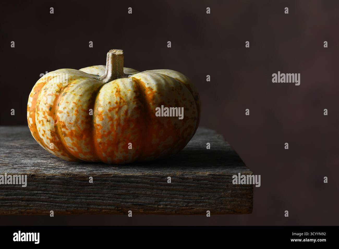 Ein einziger dekorativer, veganer Mini-Kürbis auf einem rustikalen Holzregal mit warmbraunem meliertem Hintergrund. Stockfoto