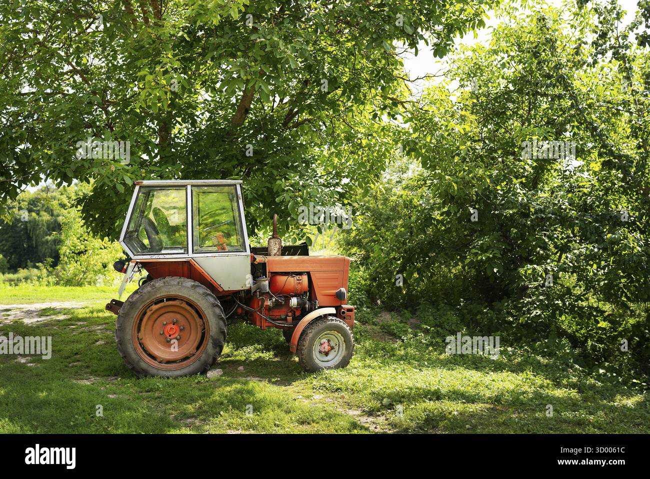 Ein roter Vintage-Traktor, der an einem sonnigen Tag unter einem üppigen grünen Baum geparkt wird und die ländliche und landwirtschaftliche Landschaft zeigt Stockfoto
