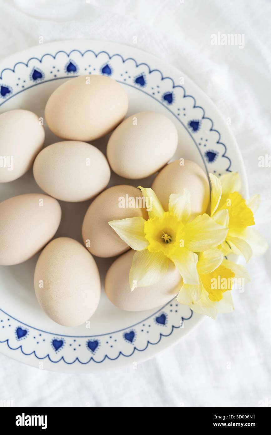 Pastelleier und fröhliche Narzissen schaffen eine schöne Osterszene auf einem blau-weißen Teller. Das Bild fängt die Frische und Freude des Frühlings ein Stockfoto
