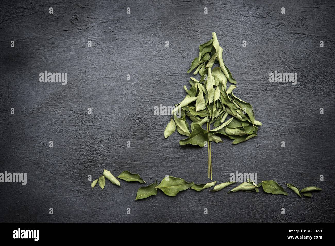 Trockene Curryblätter über dunklem Hintergrund. Draufsicht mit Kopierbereich Stockfoto