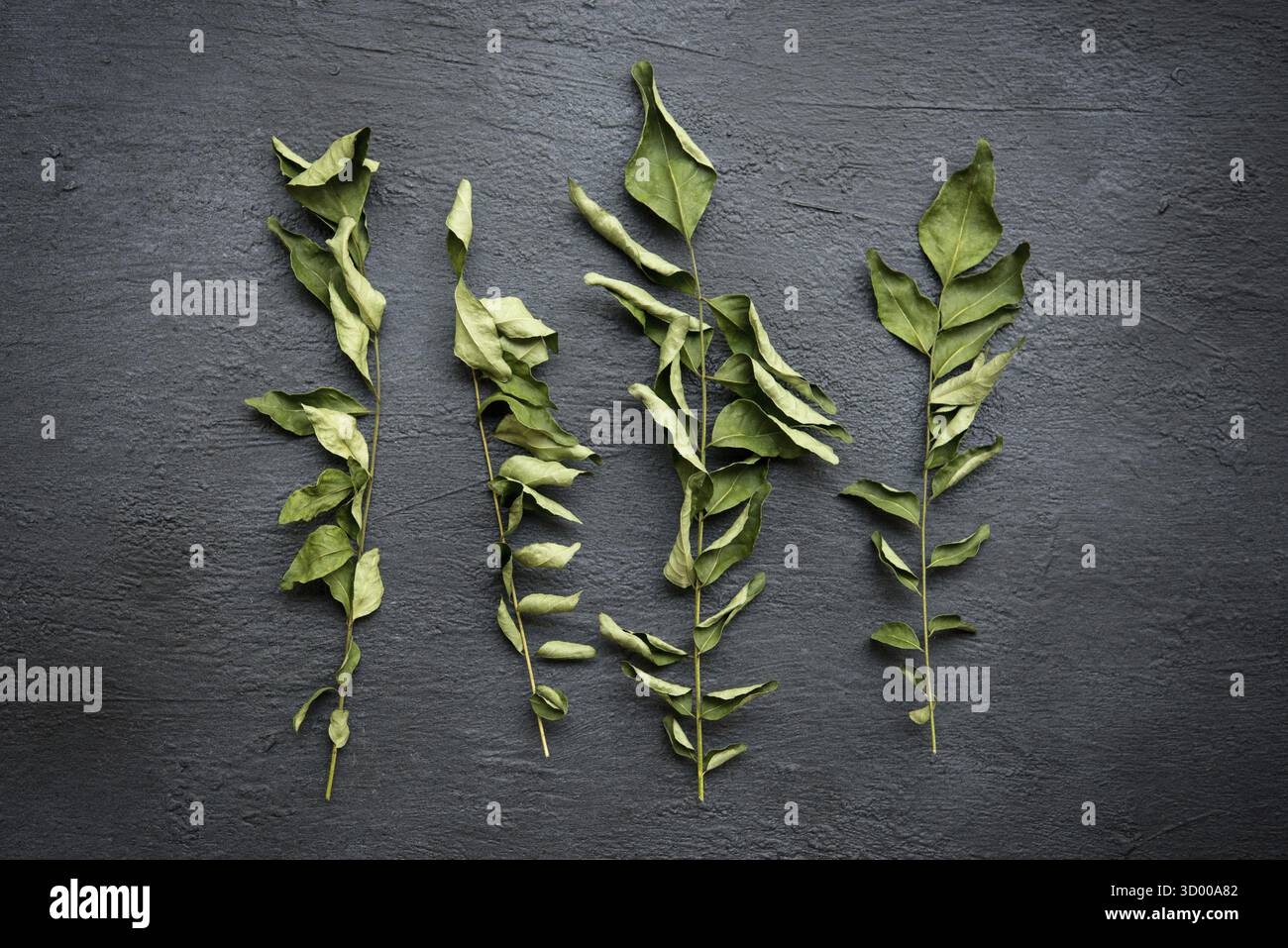 Trockene Curryblätter, indische Gewürze auf dunklem Hintergrund. Draufsicht Stockfoto