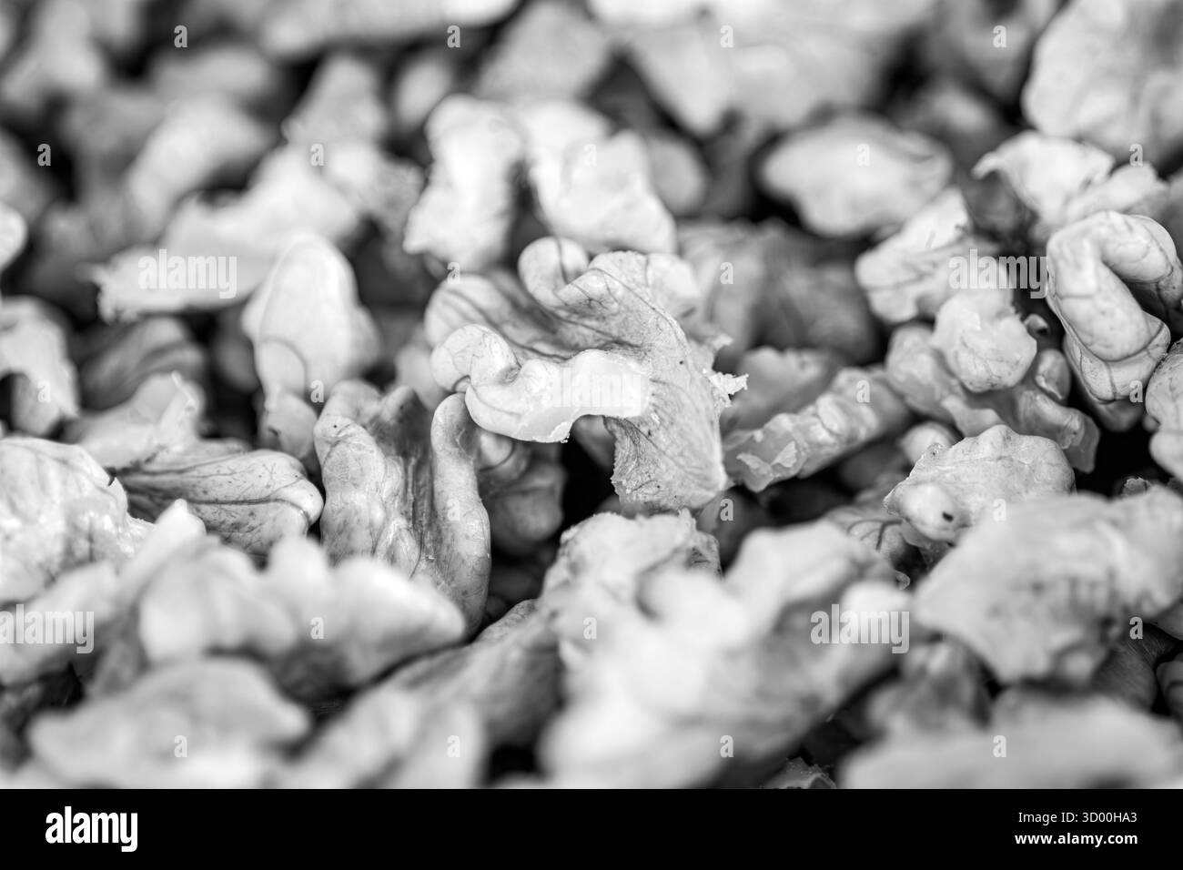 Muschelstücke aus Walnussholz auf Küchentisch Stockfoto