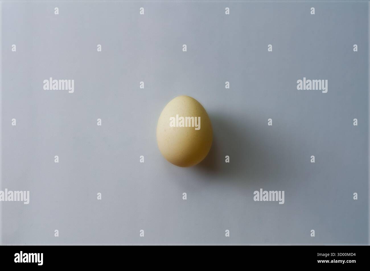 Ei auf weißem Hintergrund, Simple Studio Stillleben für Lebensmittel, Gesundheit und Küche Gebrauch Stockfoto