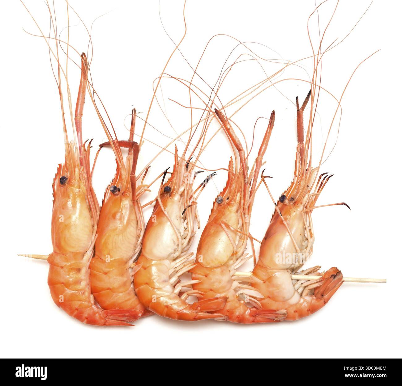 Garnelenkebab isoliert auf weißem Hintergrund Stockfoto