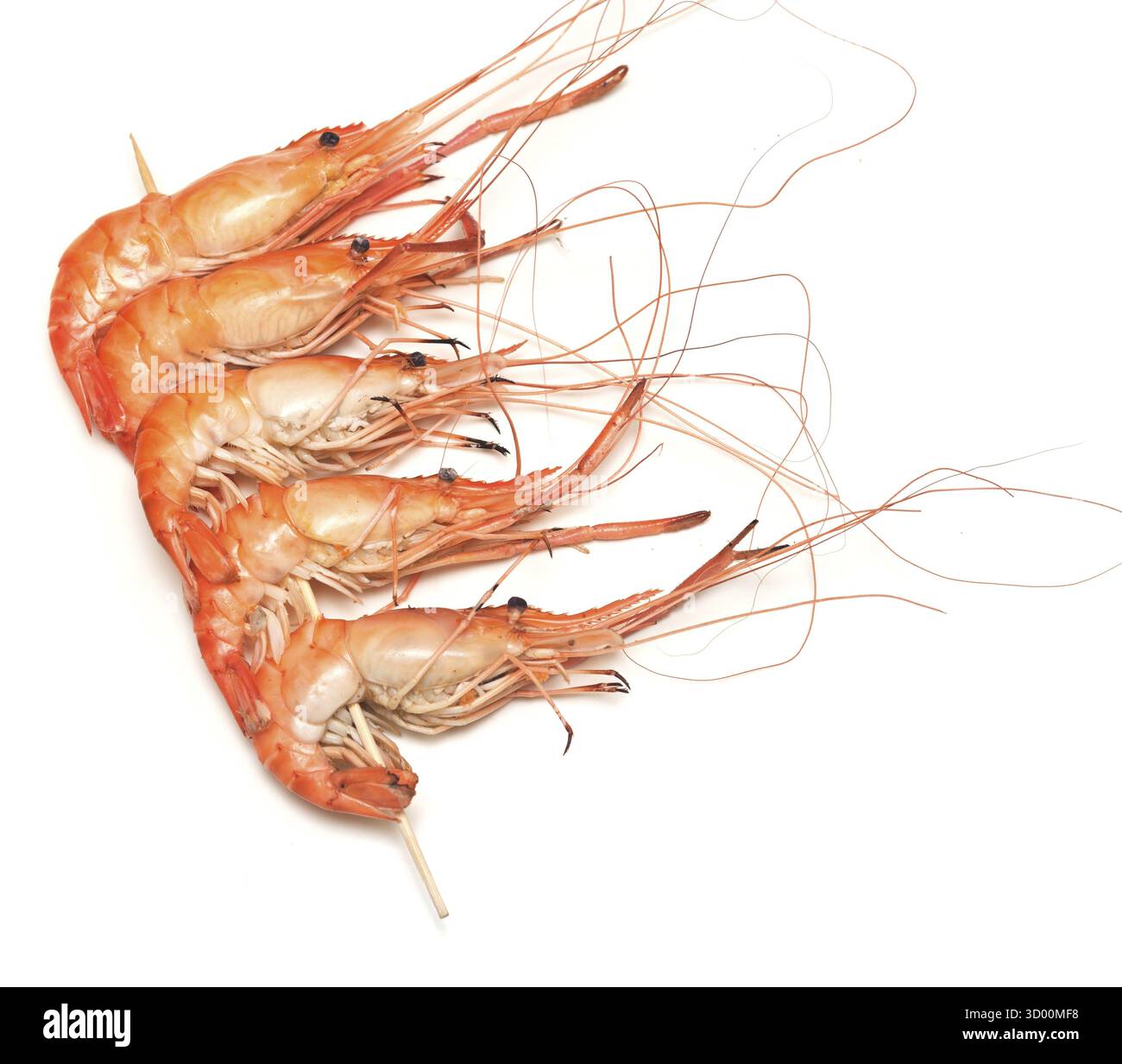Garnelenkebab isoliert auf weißem Hintergrund Stockfoto