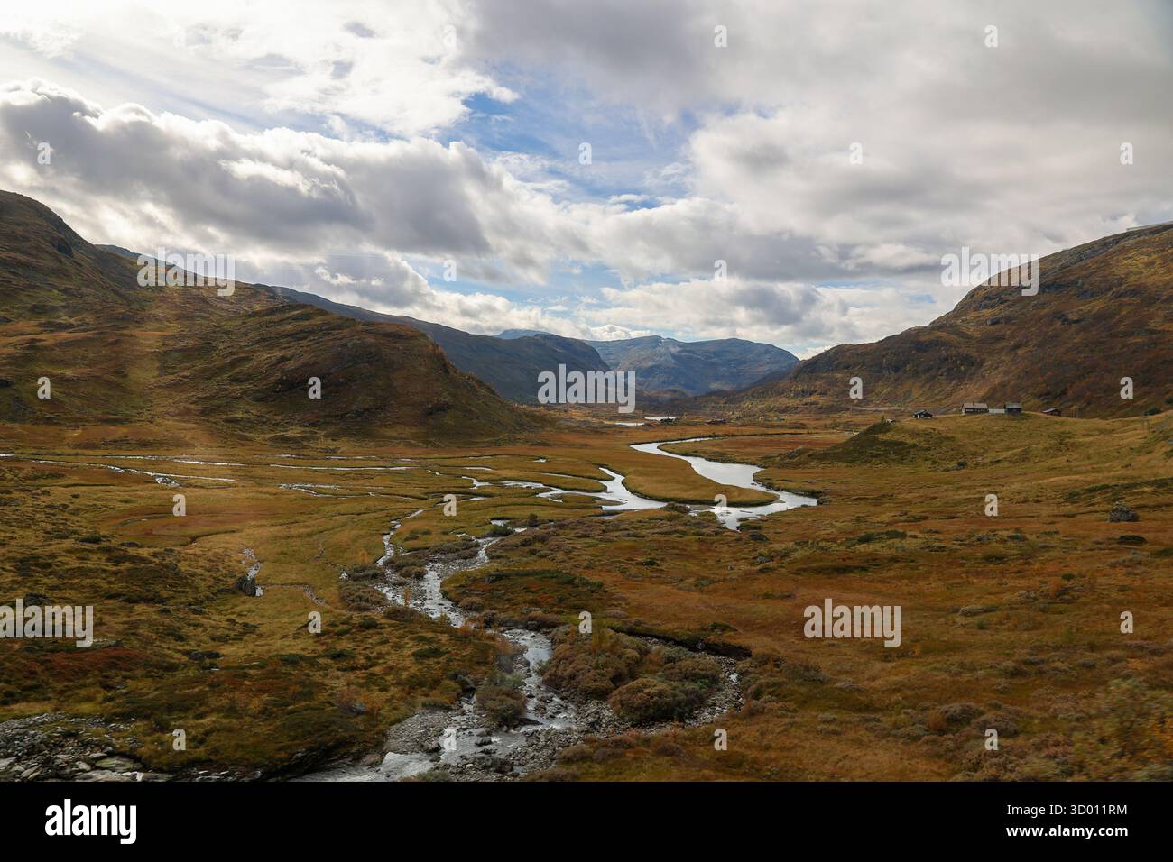 Wunderschönes Tal entlang der malerischen Eisenbahnstrecke zwischen Oslo und Bergen, norwegen Stockfoto