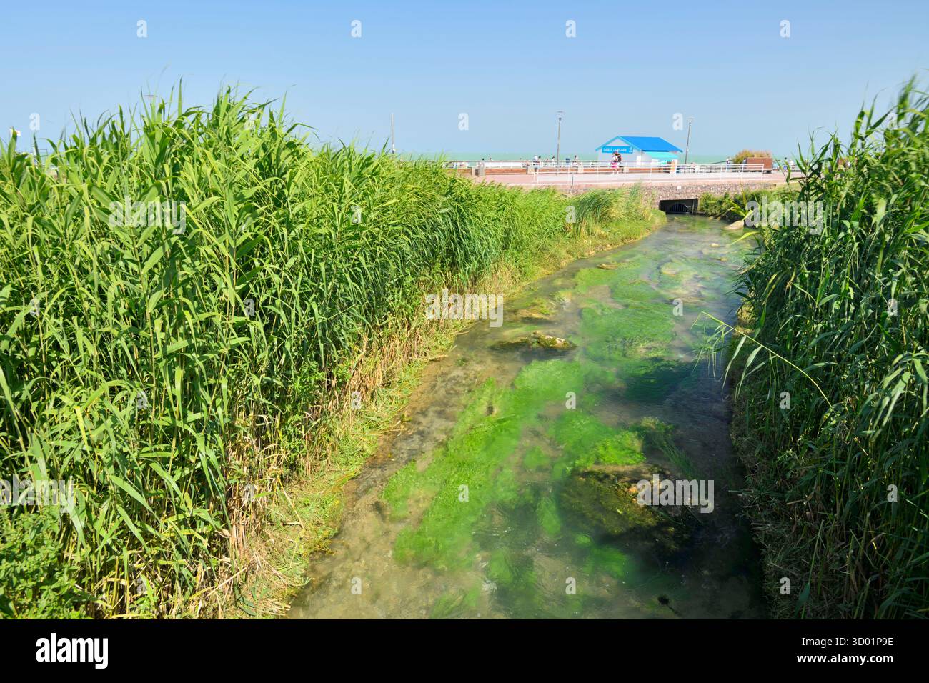 Frankreich, seine Maritime, Veules les Roses, Mündung des Veules, der kleinste Fluss Frankreichs (1.100 Meter / 3.600 Fuß) Stockfoto