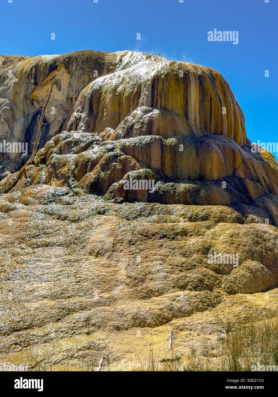Malerischer Blick auf die farbenfrohen Mineralvorkommen auf den Travertine-Terrassen in den Mammoth Hot Springs im Yellowstone-Nationalpark. Keine Personen. - Smartphone-aufgenommenes Stockfoto