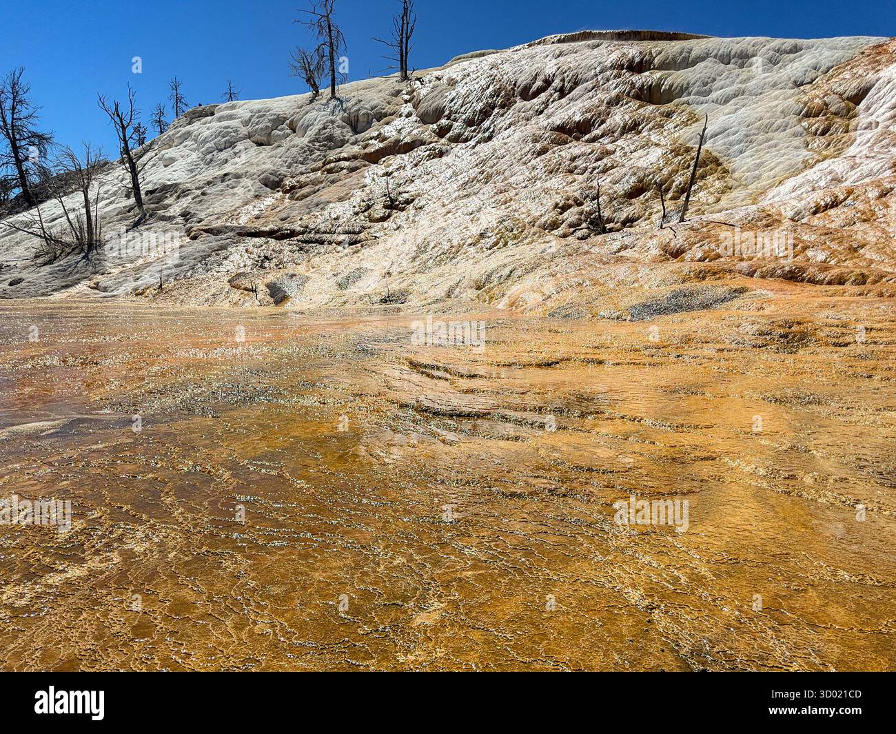 Malerischer Blick auf die farbenfrohen Mineralvorkommen auf den Travertine-Terrassen in den Mammoth Hot Springs im Yellowstone National Park. Keine Personen. - Smartphone-aufgenommenes Stockfoto