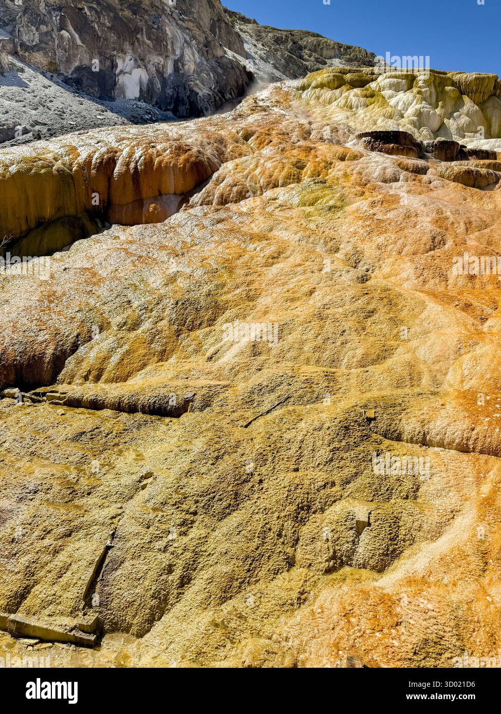 Malerischer Blick auf die farbenfrohen Mineralvorkommen auf den Travertine-Terrassen in den Mammoth Hot Springs im Yellowstone-Nationalpark. Keine Personen. - Smartphone-aufgenommenes Stockfoto