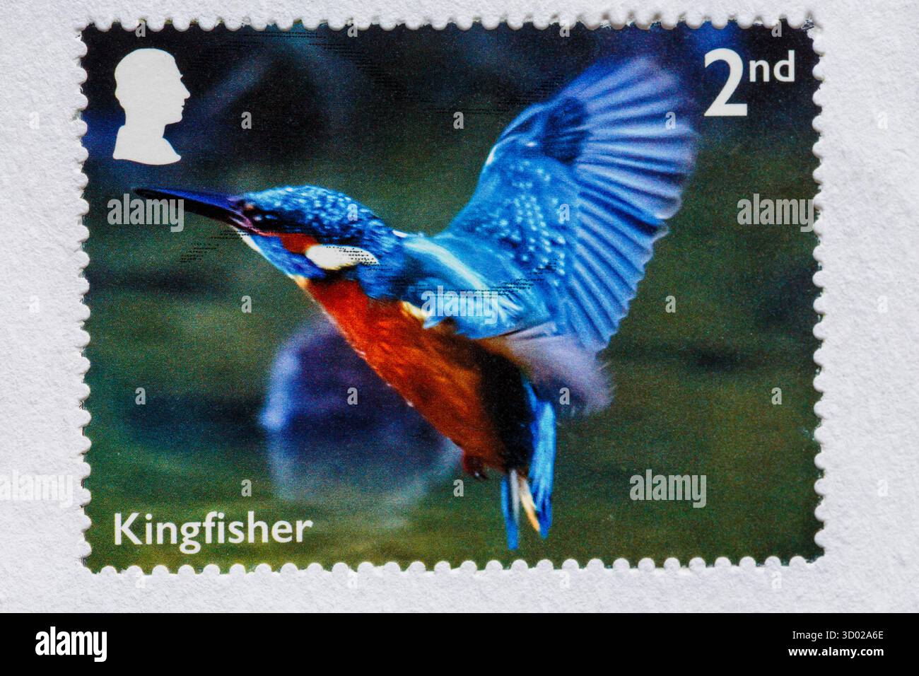 Kingfisher 2. Klasse Briefmarke mit Kings Kopf auf weißem Umschlag - Teil des River Wildlife Memorial Set 2023 - Briefmarke 2. Klasse Stockfoto