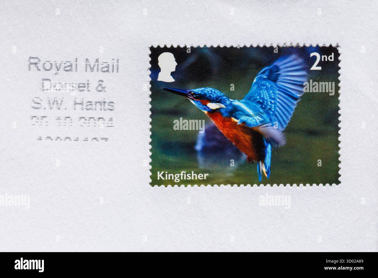 Kingfisher 2. Klasse Briefmarke mit Kings Kopf auf weißem Umschlag - Teil des River Wildlife Memorial Set 2023 - Briefmarke 2. Klasse Stockfoto