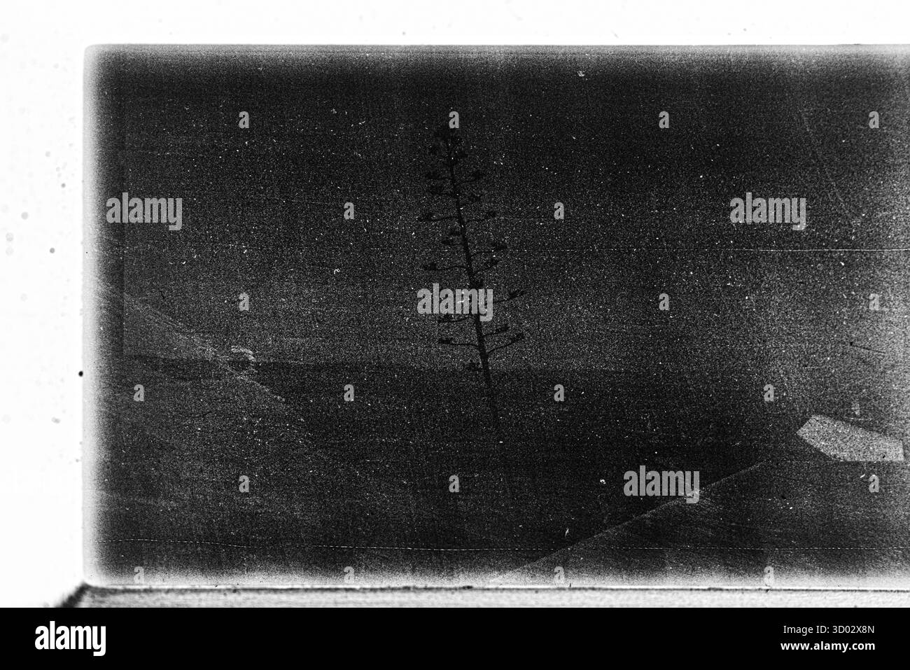 Abstraktes Schwarzweißfoto mit einer rauen, verwitterten Oberfläche mit sichtbarer Filmmaske und -Textur. Stockfoto