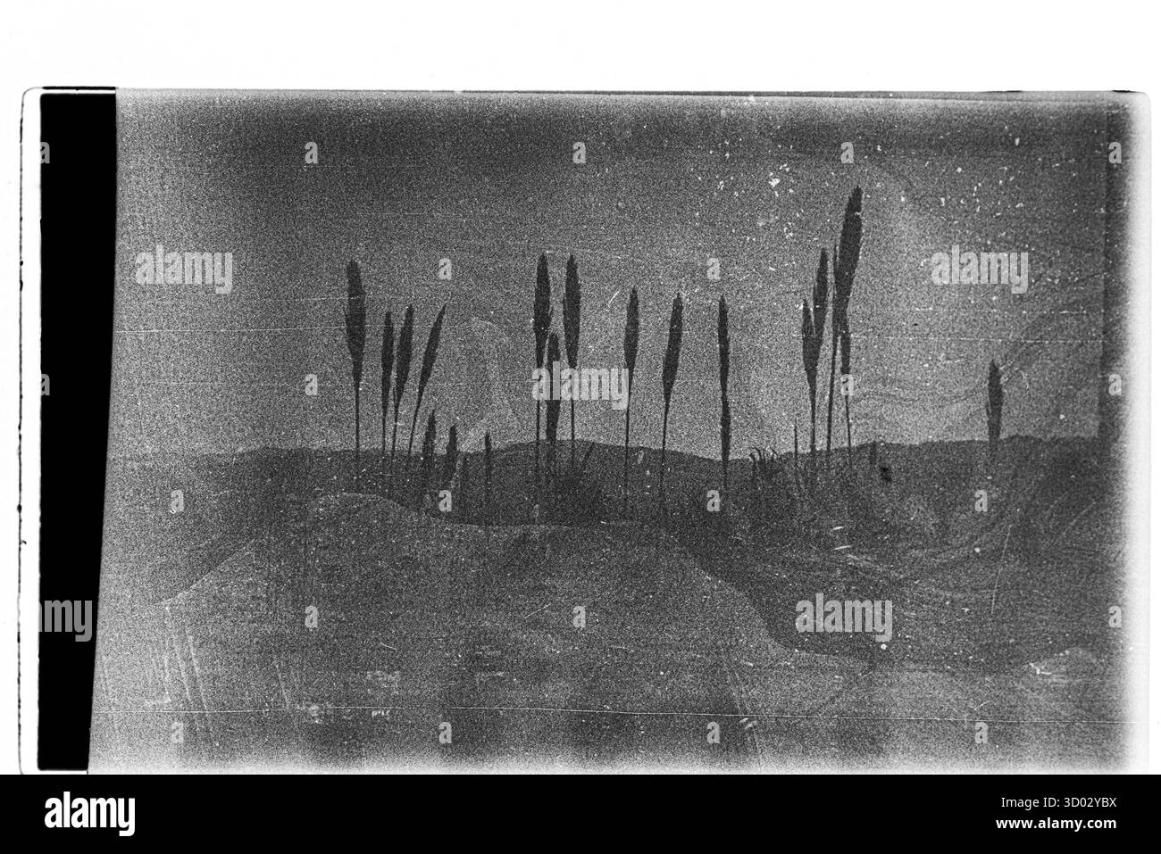 Abstraktes Schwarzweißfoto mit einer rauen, verwitterten Oberfläche mit sichtbarer Filmmaske und -Textur. Stockfoto