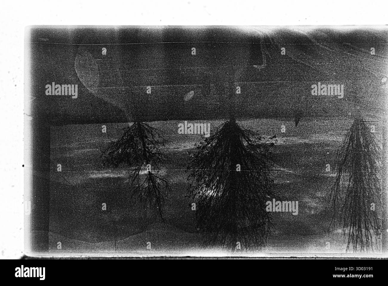 Abstraktes Schwarzweißfoto mit einer rauen, verwitterten Oberfläche mit sichtbarer Filmmaske und -Textur. Stockfoto