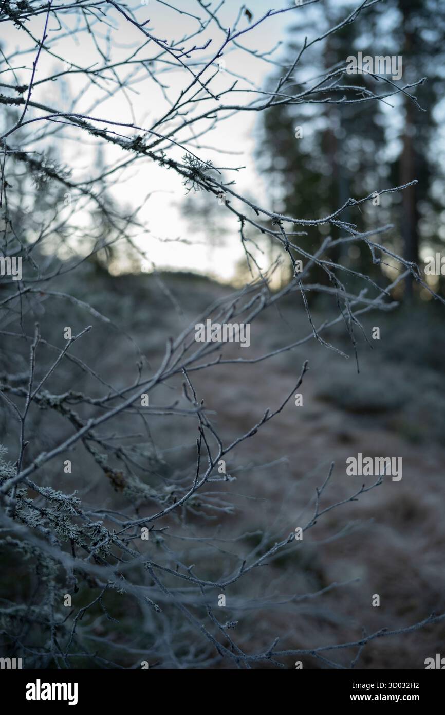 Norwegische Landschaft in den Bergen in der Nähe des Sees Flekkeren im Svanstul-Gebiet von Grönland, Norwegen, Skandinavien Stockfoto