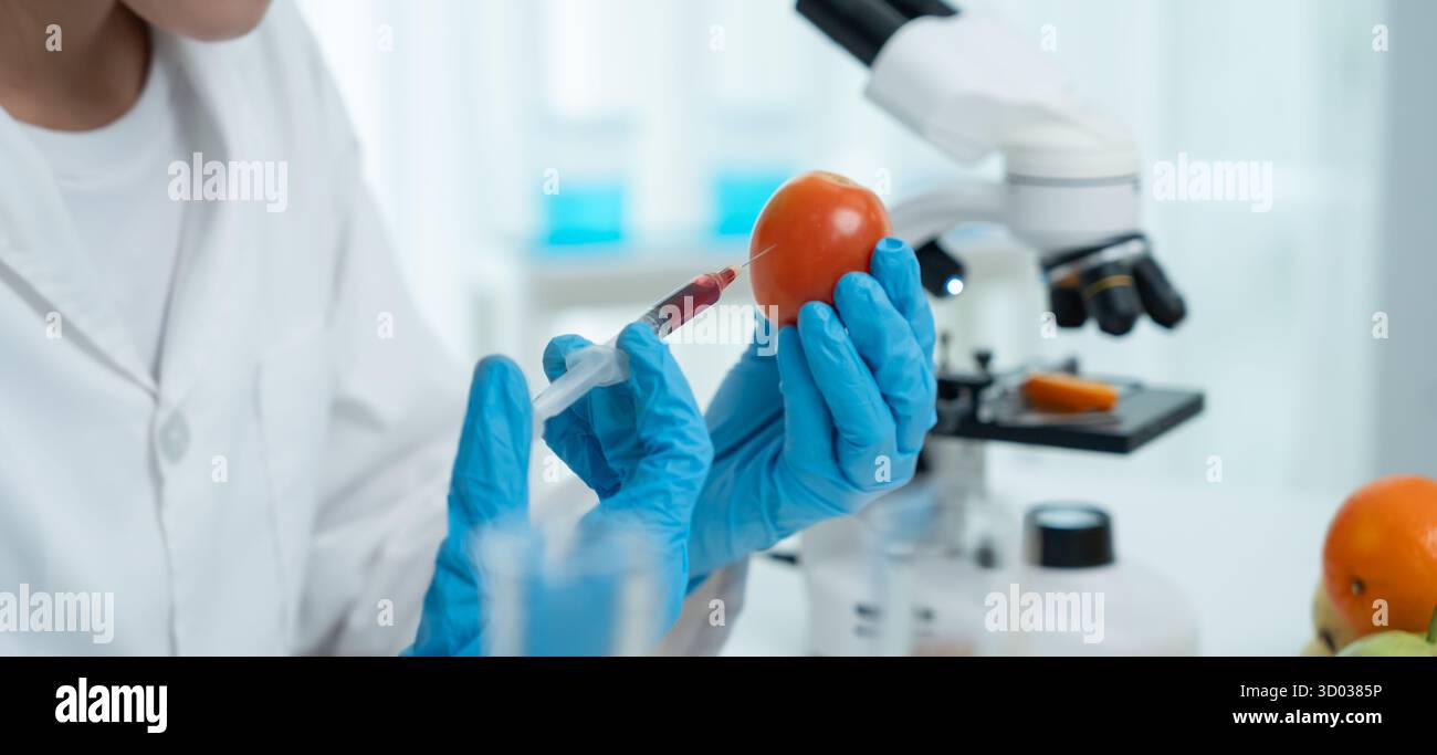 Wissenschaftler überprüfen chemische Lebensmittelrückstände im Labor. Kontrollexperten prüfen die Qualität von Früchten, Wissenschaftler injizieren Chemikalien in Äpfel für Experimente Stockfoto