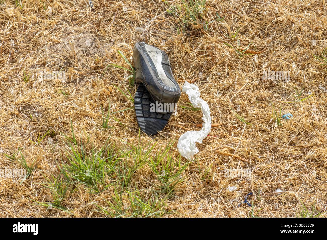 Entsorgte Schuhe, zerknittertes Papier und Müll, die trockene Grasflecken verschmutzen Stockfoto