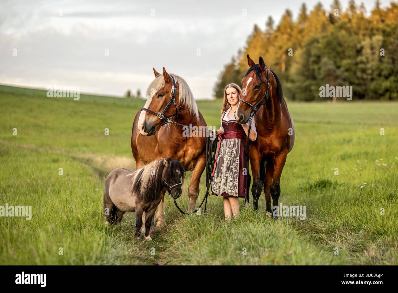 Modell veröffentlicht Stockfoto Modell veröffentlicht Stockfoto
