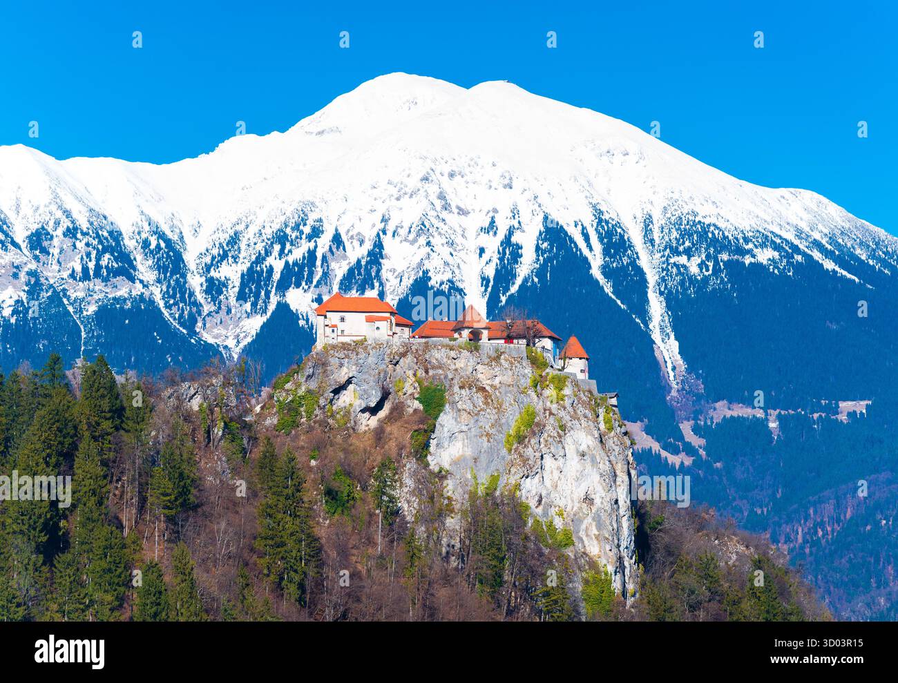 Luftaufnahme der mittelalterlichen Burg auf dem Felsen mit schneebedeckten Alpen im Hintergrund. Der See von Bled in Slowenien. Sonnigen Tag, Clear blue sky Stockfoto