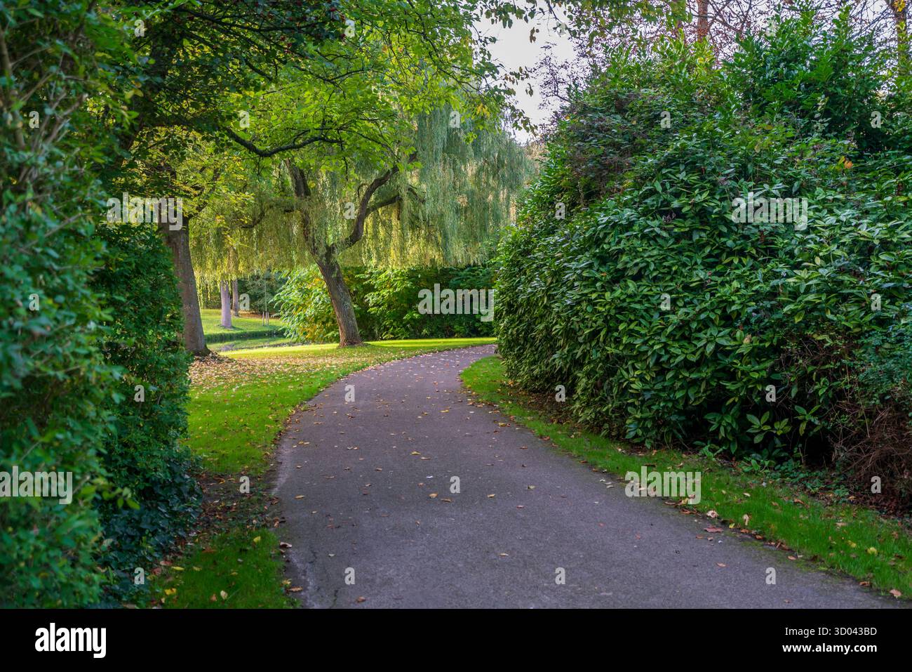 Frühe Herbstszene in einem städtischen öffentlichen Park mit einem gewundenen Fußweg, der durch Gras, Büsche und Bäume führt und die ersten goldenen Blätter unter weichen Bäumen zeigt Stockfoto