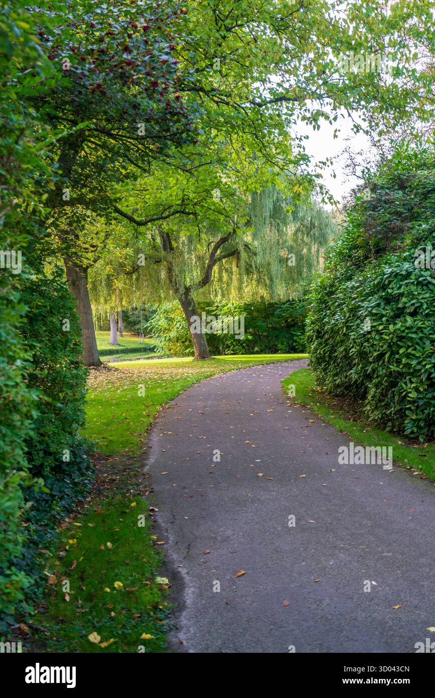 Frühe Herbstszene in einem städtischen öffentlichen Park mit einem gewundenen Fußweg, der durch Gras, Büsche und Bäume führt und die ersten goldenen Blätter unter weichen Bäumen zeigt Stockfoto
