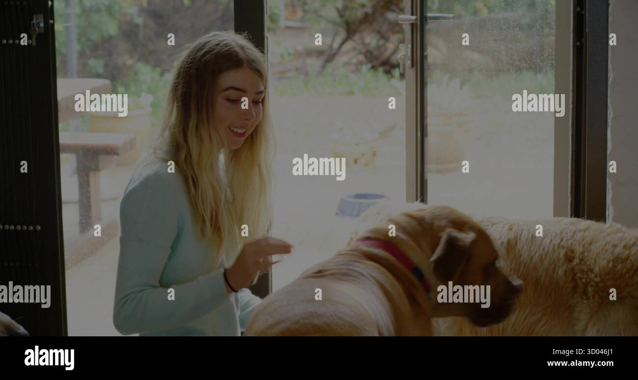 Kniende Frau mit blauem Pullover, die zwei braunen Hunden an der Tür zur Terrasse zugreift Stockfoto