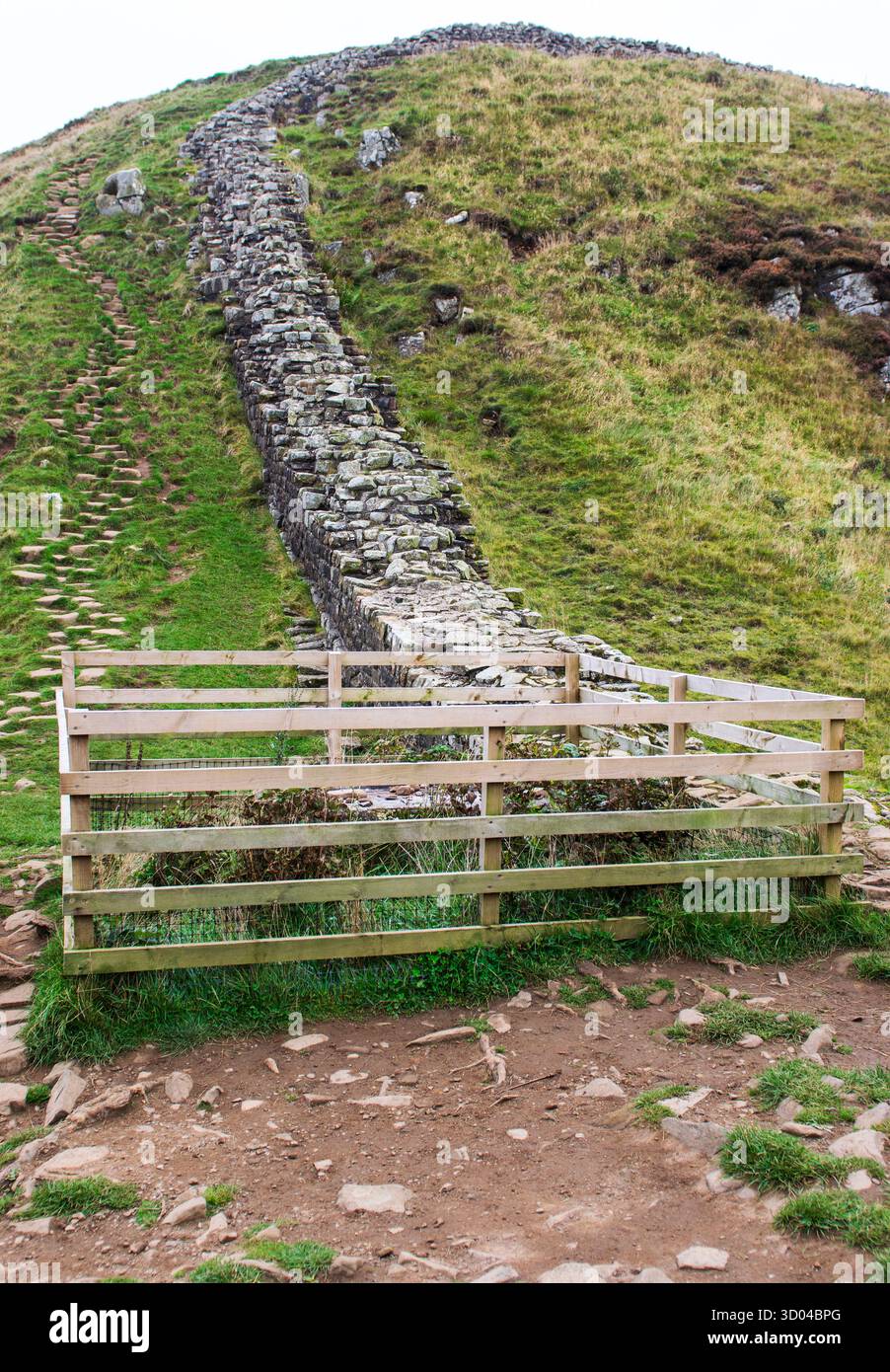 Ein Zaun, der den verbliebenen Baumstamm in Sycamore Gap in Northumberland, England, schützt, der 2023 illegal gefällt wurde. Stockfoto