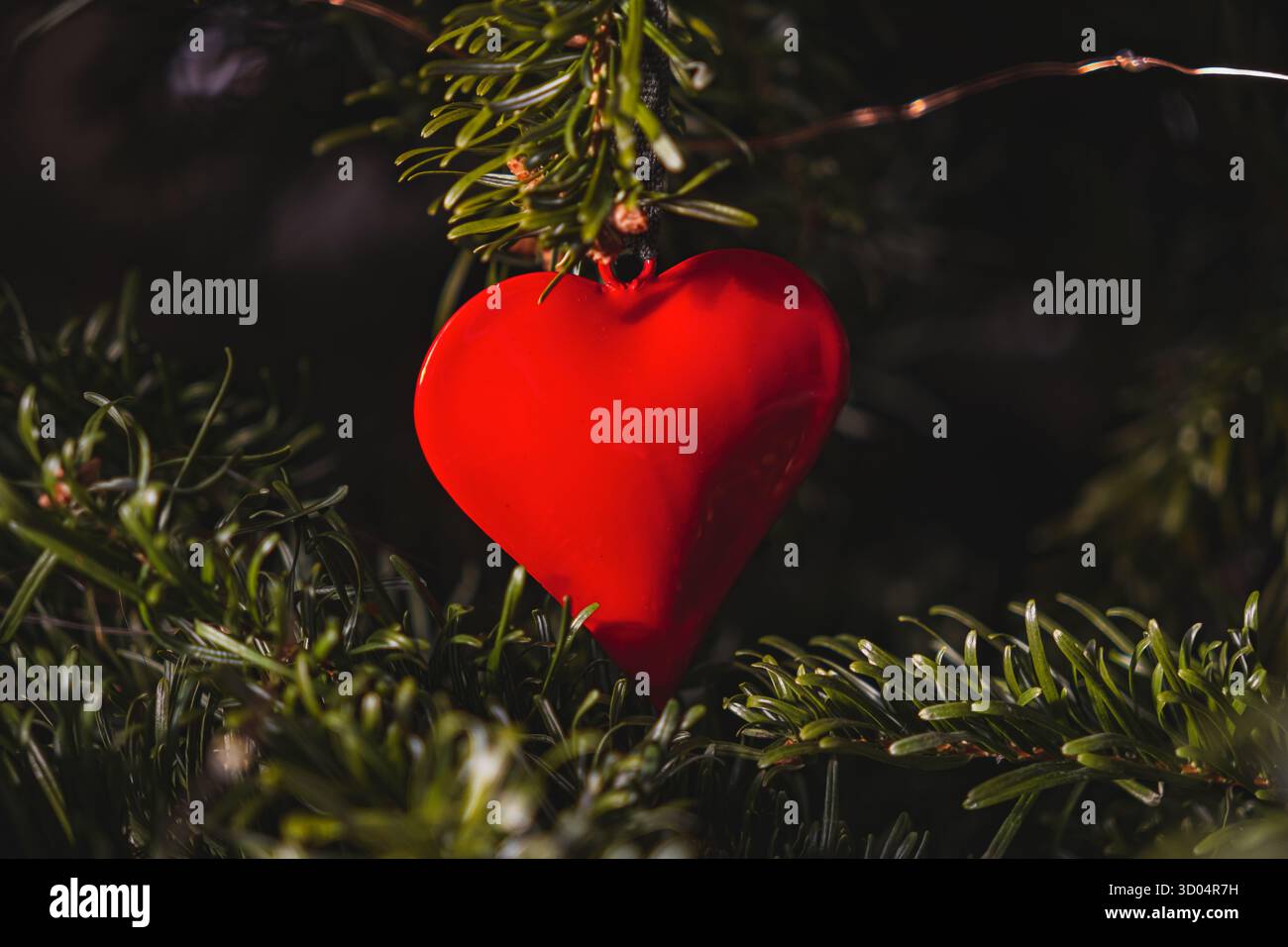 Ein rotes Herzstück hängt an einem grünen Tannenbaum, beleuchtet durch sanftes, warmes Licht. Hochwertige Fotos Stockfoto