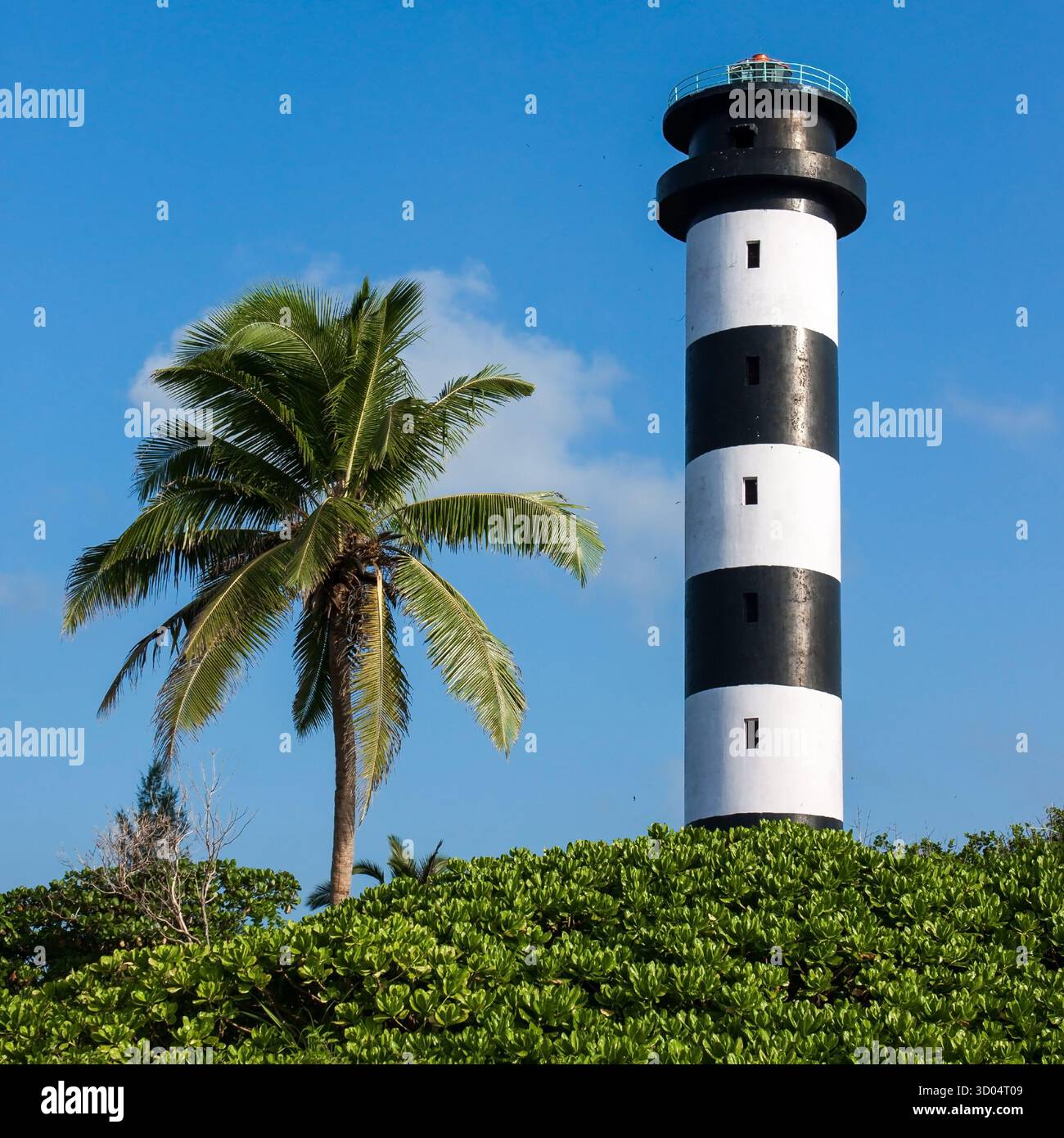 Schwarz-weiß gestreifter Leuchtturm mit Kokospalmen an der Südspitze von Little Andaman Island, Indien. Stockfoto