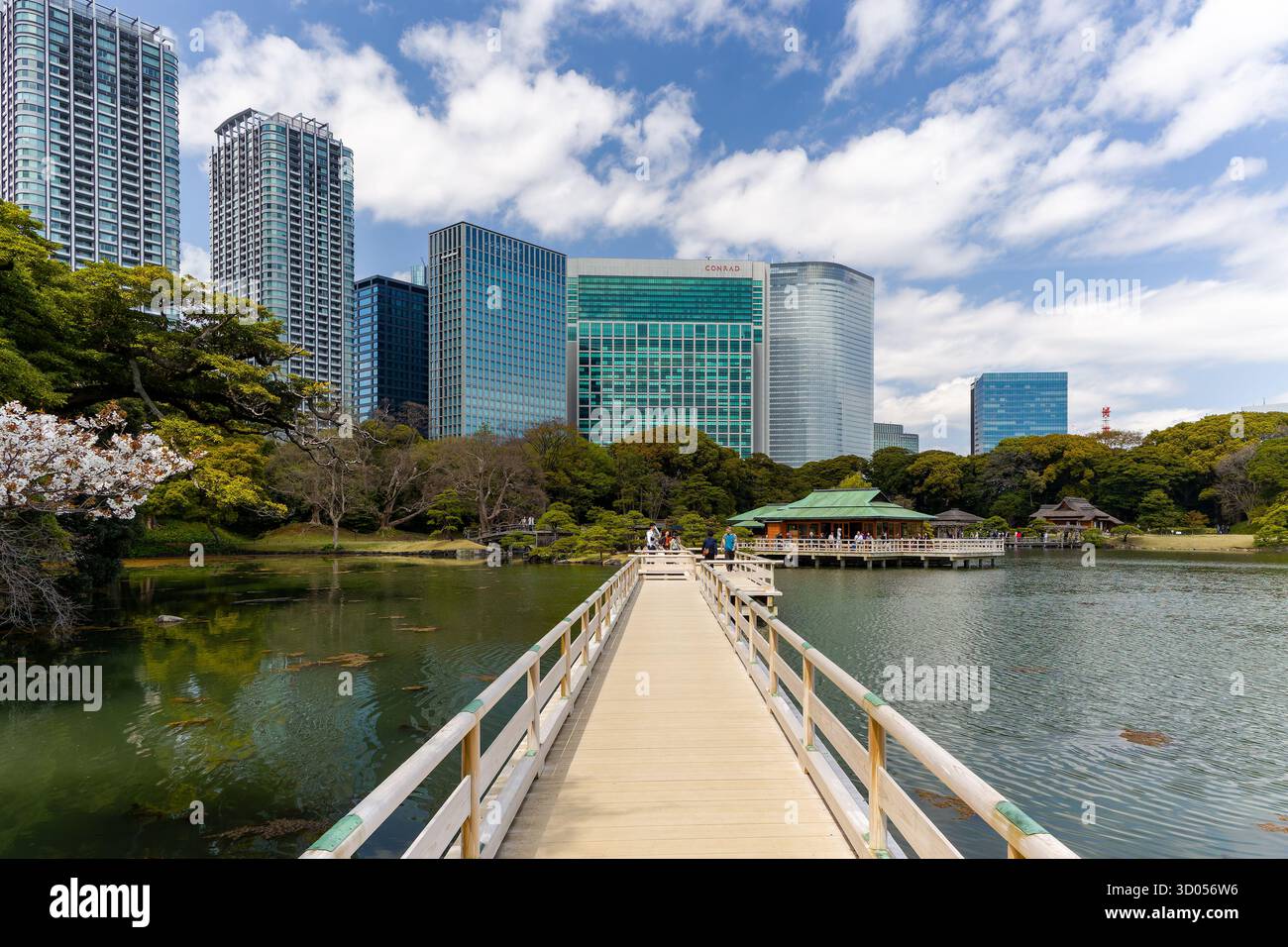 Traditioneller japanischer Garten im Kontrast zu modernen Wolkenkratzern von Shiodome, Tokio Stockfoto