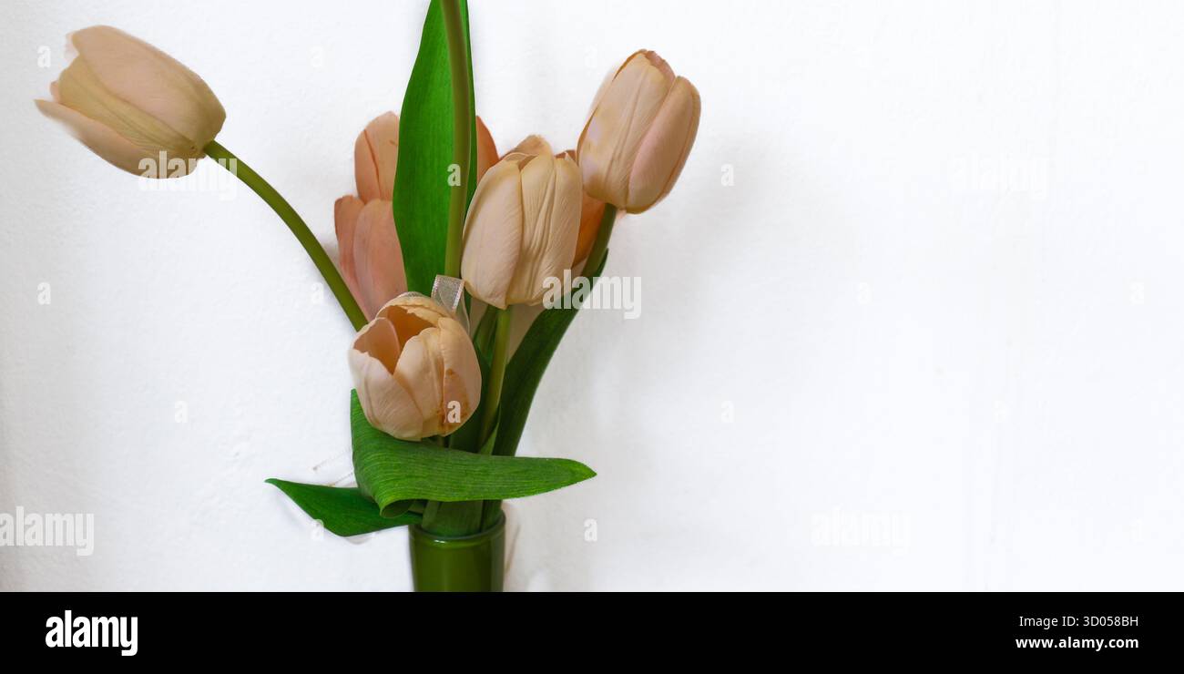 Minimalistische weiche braune Stofftulpen in Vase auf weißem Hintergrund. Einfache, neutrale Farbästhetik für Wohnkultur und raffinierte Lifestyle-Konzepte. Stockfoto