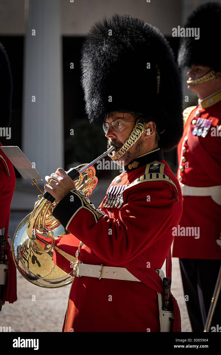 Musikerin der britischen Armee beim Wachwechsel in London, England, Vereinigtes Königreich. Stockfoto