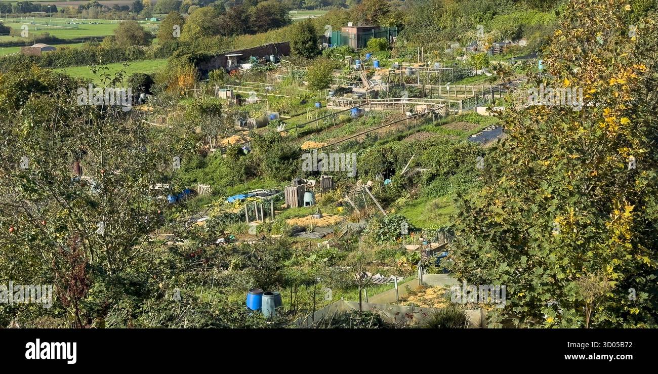 Traditionelle britische Gartenschrecke, Großbritannien. Ein Kleingut ist ein Grundstück, auf dem Obst, Gemüse und Blumen angebaut werden. Stockfoto
