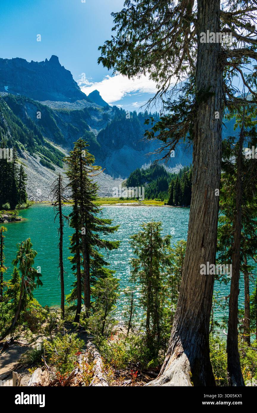 Snow Lake; Mount Rainier National Park; Washington; USA Stockfoto