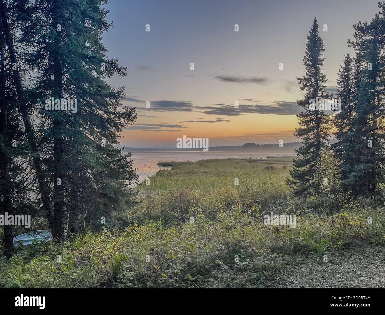 Eine ruhige Seeszene in der Abenddämmerung mit hohen Kiefern, die ein ruhiges Sumpfgebiet umrahmen, und einem sanften Sonnenuntergang, der sich auf dem Wasser spiegelt. Sanfte, natürliche Beleuchtung - Smartphone-aufgenommenes Stockfoto
