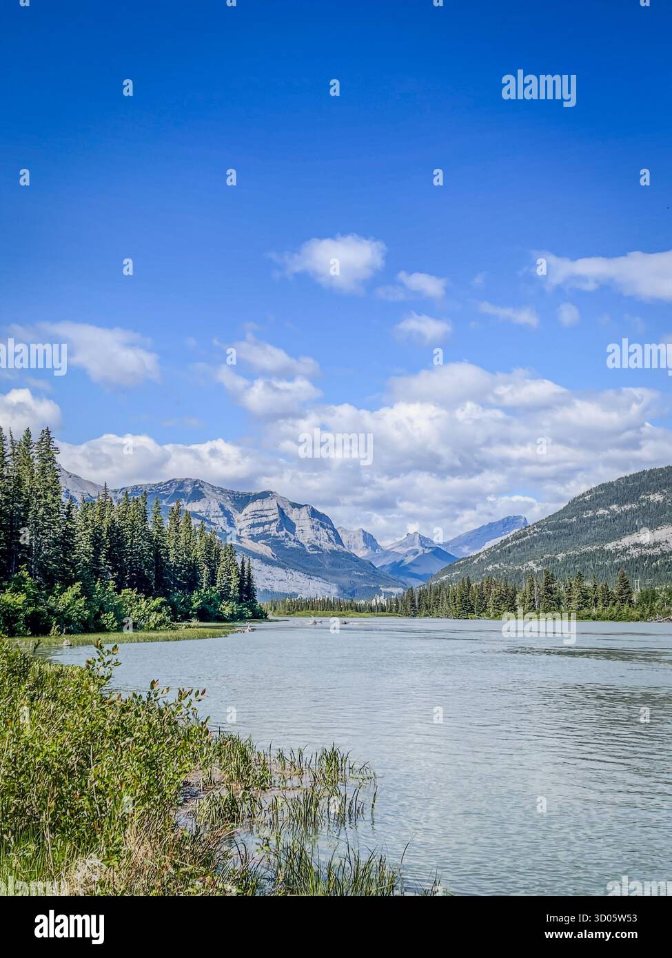 Ein ruhiger Bergsee, umgeben von immergrünen Wäldern und fernen Bergen unter einem hellblauen Himmel. Ruhiges Wasser spiegelt die Landschaft wider und lädt die Natur ein - Smartphone-aufgenommenes Stockfoto