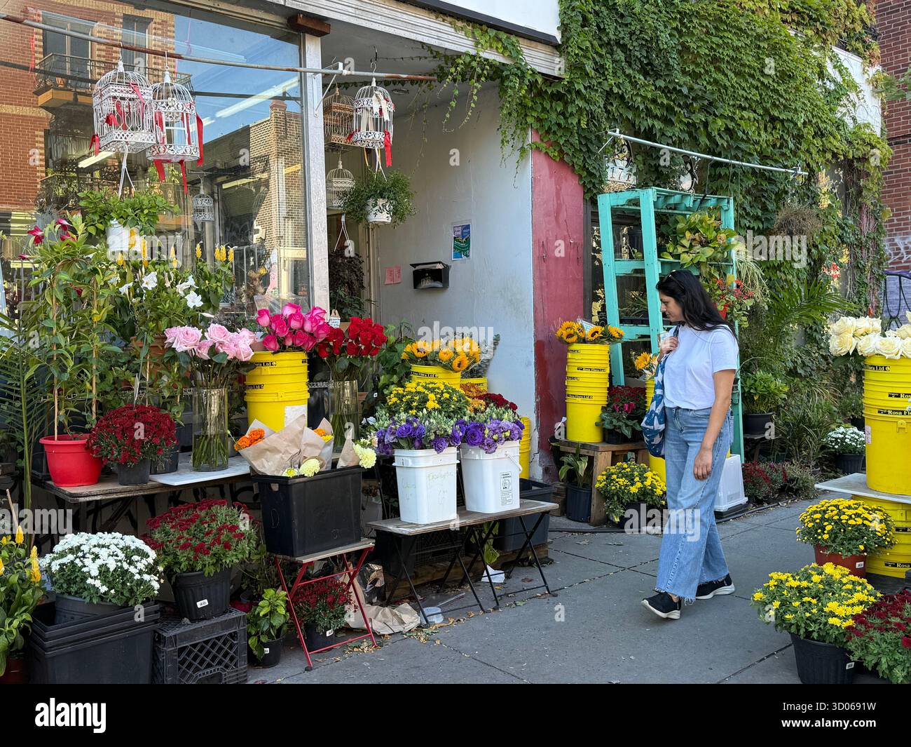 Blumenladen, Mile End, Montreal Kanada - Smartphone-aufgenommenes Stockfoto