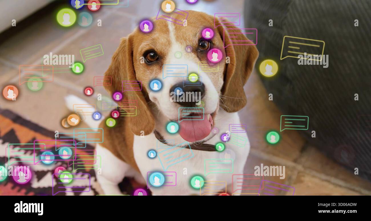 Sitzender Beagle-Hund mit Kragen im Wohnzimmer neben der dunklen Couch, mit Chat-Blasen, Avatarsymbolen Stockfoto