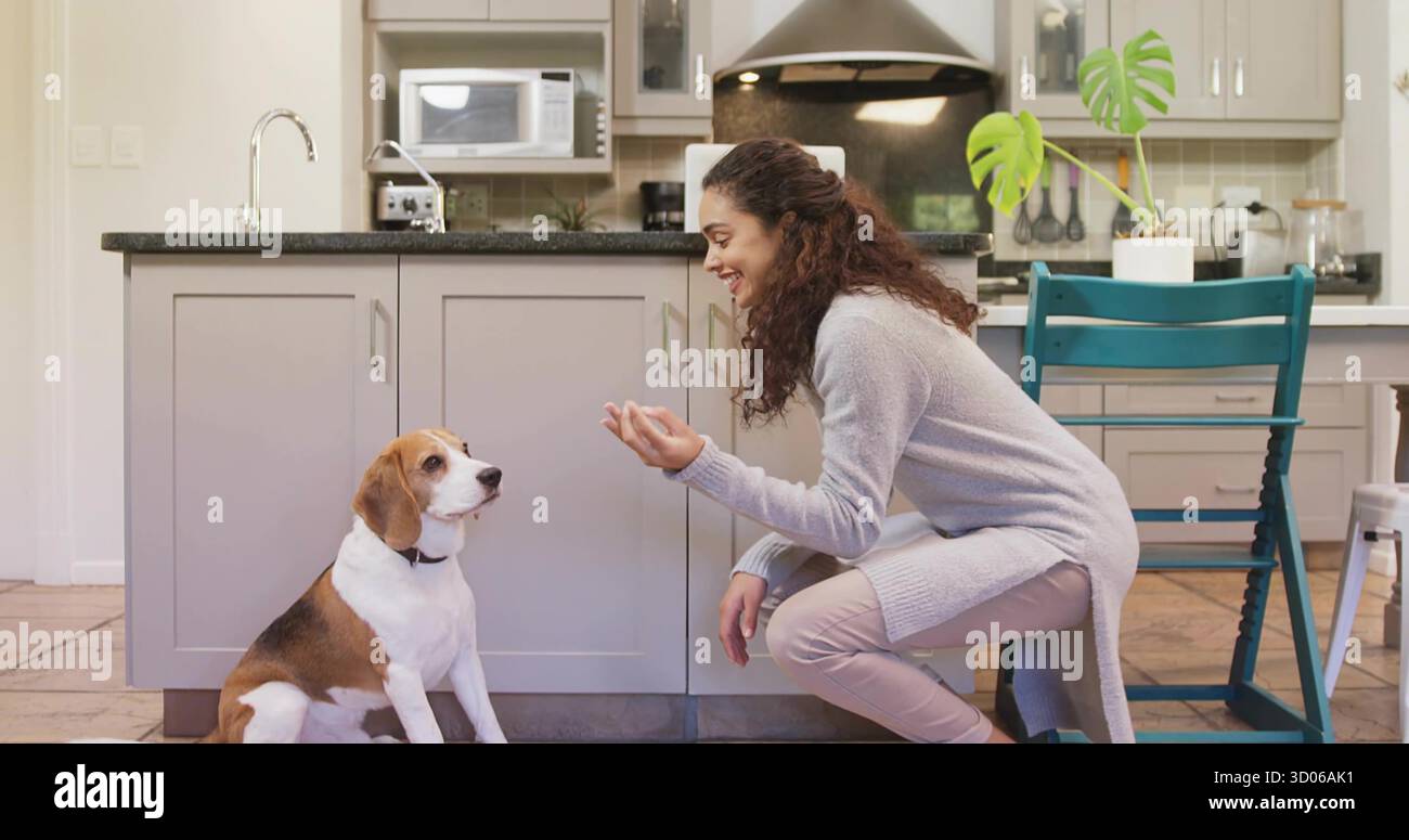 Lächelnde Frau mit grauem Pullover, die sich neben der Kücheninsel hockt, mit Beagle-Hund, Kopierraum Stockfoto