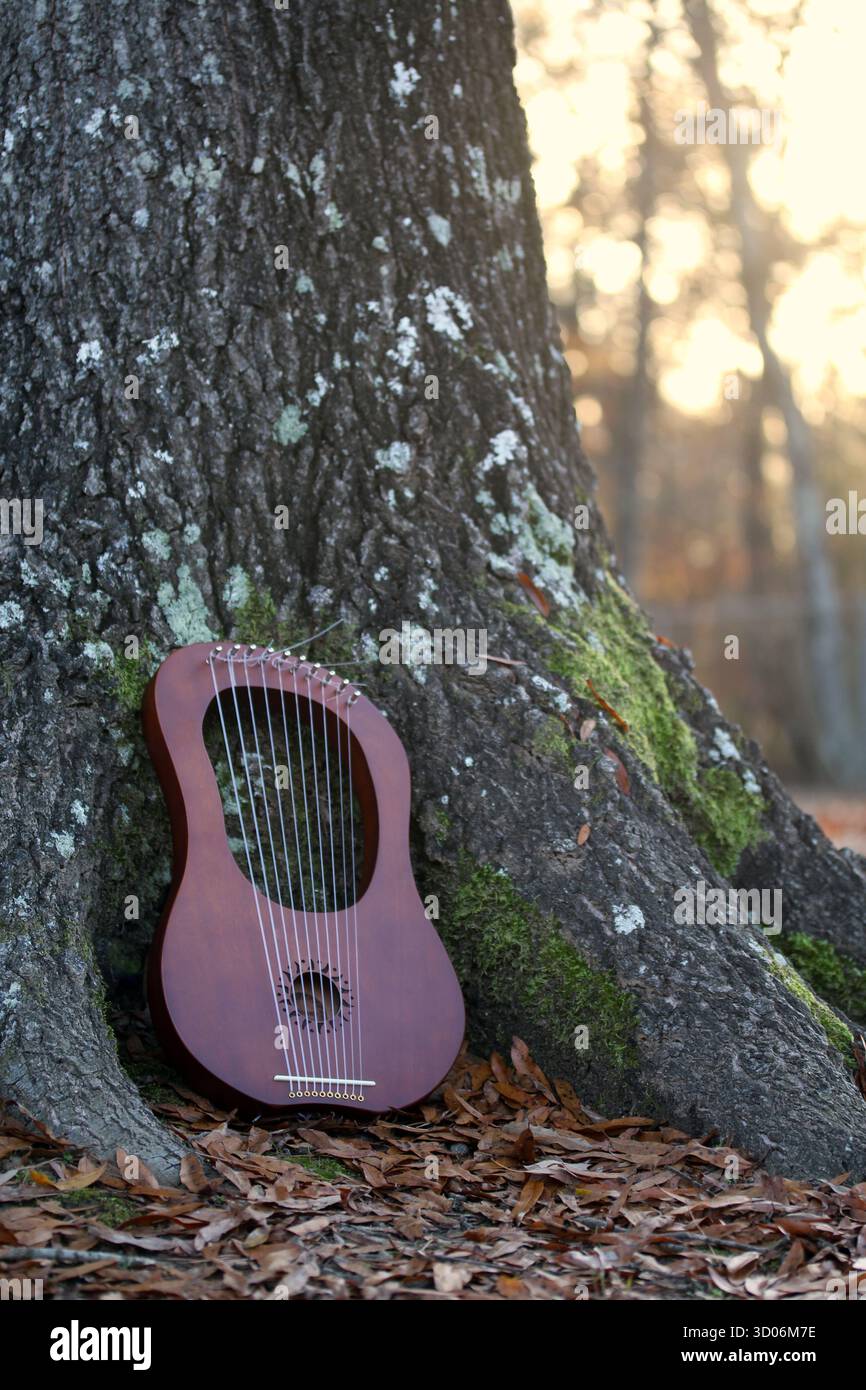 Laubenharfe lehnt sich während des Herbstuntergangs an den Baum Stockfoto