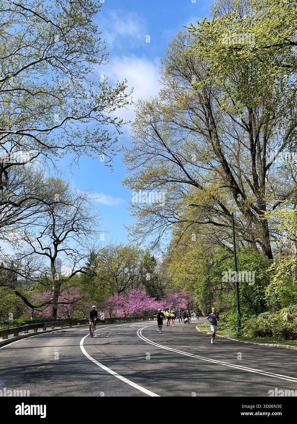 Läufer im Central Park, NYC, voller Energie und Stadtgeist. Stockfoto