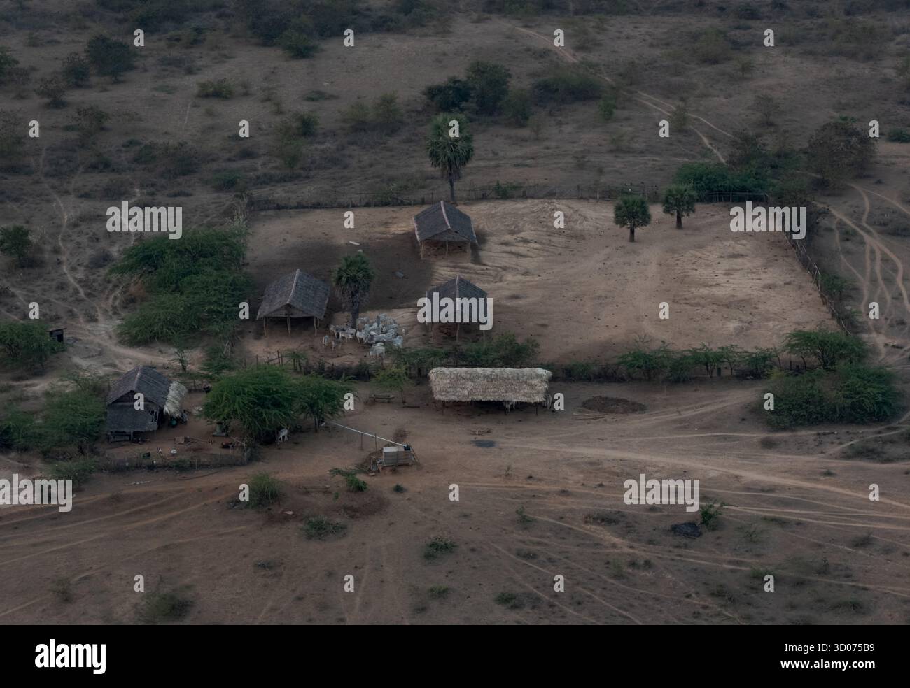 Blick aus der Vogelperspektive auf das ländliche Dorf mit traditionellen Hütten und Vieh in einer trockenen Landschaft unter natürlichem Licht – authentische Landschaft Stockfoto