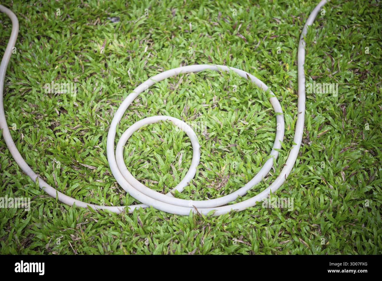 Schlauch auf Gras Stockfoto